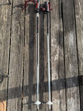 Aluminum Salomon Ski Poles